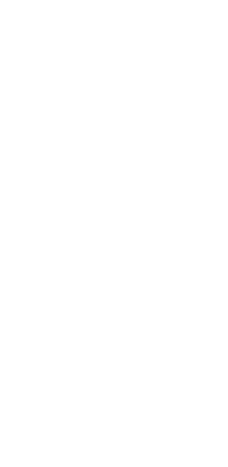 DDPS